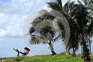 Pousse pousse in tropics