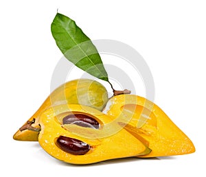 Pouteria campechiana isolated on the white background