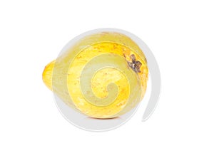 Pouteria campechiana Kunth Baehni or Canistel fruit on white background