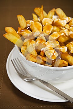 Poutine meal photo