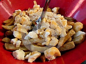 Poutine in red bowl photo