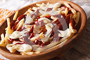 Poutine with sauce and cheese macro. Horizontal