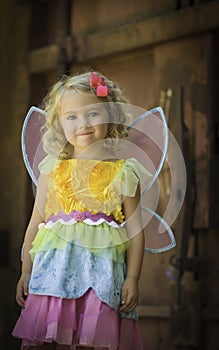 Pouting Toddler in Fairy Halloween Costume