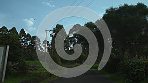 POV of car moving near Kilimanjaro mountain in green jungle african bushes