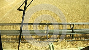 Pov of combine harvesting wheat