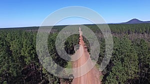 POV Driving along dirt road to treetop aerial