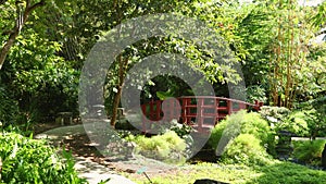 POV footage along a footpath in the garden with a red bridge over a creek surrounded by lush green trees and plants at Miami