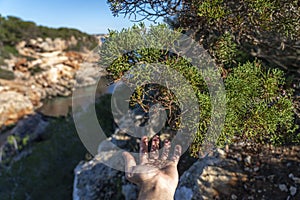 Pov hand palm in a pine tree area, Mondrago natural park, Majorca