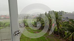 POV looking out of window on rainy day in tropics. Downpour on tropical island. Fresh summer background. Curtain and