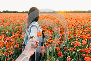 Pov of man follows a woman in poppy field.