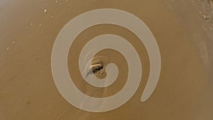 POV of a man walking on a beach and digging sand with his feet in the water