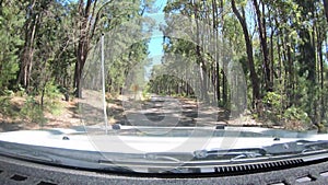 POV Time Lapse Vehicle driving on dirt road in a forest