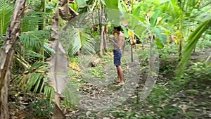 POV view of a wild animal attacking man in jungle. Male person in dense forest scared because of mortal danger and