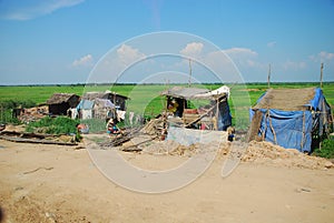 Poverty huts with green paddy field photo