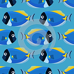 Powder blue tang fish seamless pattern. Acanthurus surgeon fish