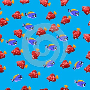 Powder Blue Tang fish