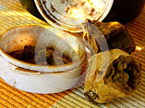 Powder collected from Calvatia puffball mushrooms, close up