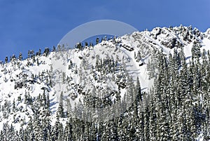 Powder Covered Winter Forest Landscape with Snow on Cliffs of Mountain Ridge