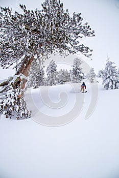 Powder day at Bogus Basin ski area in Boise, Idaho