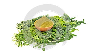 Powder and fresh green leaves of moringa miracle tree on white isolated background