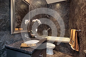 Powder room with black granite walls