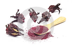 Powder of Roselle flower buds in wooden spoon on white background