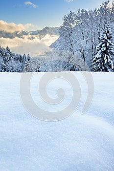 Powder snow in Vorarlberg Austria