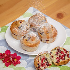 Powdered sugar falling on fresh baked muffins or cupcakes