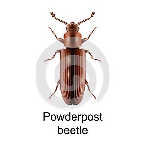 Powderpost vector icon.Realistic vector icon isolated on white background powderpost.