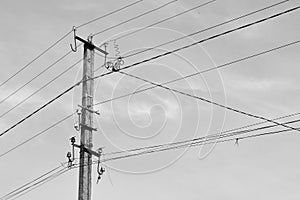 Power electric pole with line wire on background close up