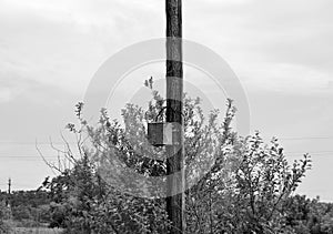 Power electric pole with line wire on background close up