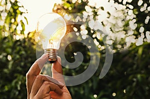 power energy in nature and hand holding light bulb with concept