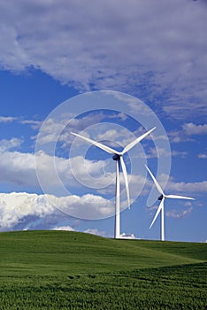 Power Generating Windmills photo