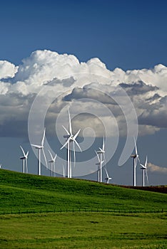 Power Generating Windmills photo