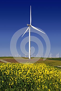 Power Generating Windmills