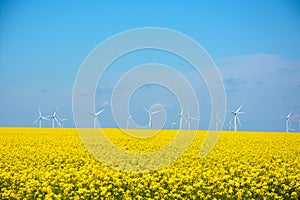 Power generating Windmills on summer landscape