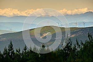 Power Generation Eolic Wind Turbines Field In Spain