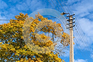 Power grid on Golden autumn tree background