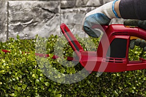 Power Hedger Trimming Hedges photo