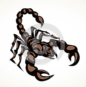 Dangerous insect. Scorpion. Vector drawing