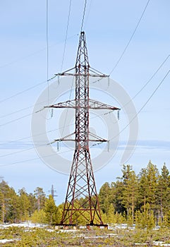 Power line against the background of the spring forest.