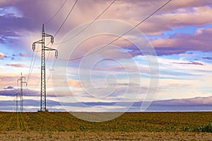 Power line and field at sunset sky.