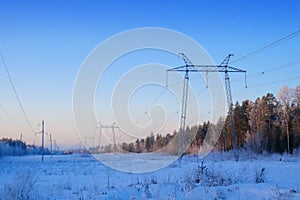 Power line in the forest in winter