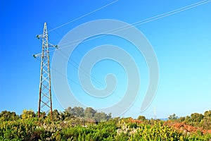 Power line in green landscape