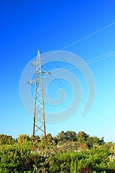 Power line in green landscape