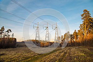 Power line in late autumn on the background of forest clearing in the rays of the setting sun. Landscape, nature, technology