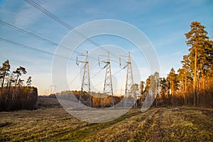 Power line in late autumn on the background of forest clearing in the rays of the setting sun. Landscape, nature, technology photo