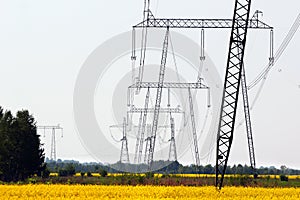 Power line pylons in yellow fields