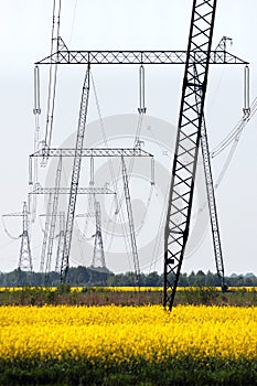 Power line pylons in yellow fields