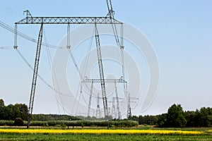 Power line pylons in yellow fields